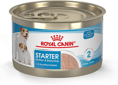 ROYAL CANIN Size Health Nutrition Small Mother & Babydog Starter Mousse in Sauce Wet Dog Food, 5.1 oz can