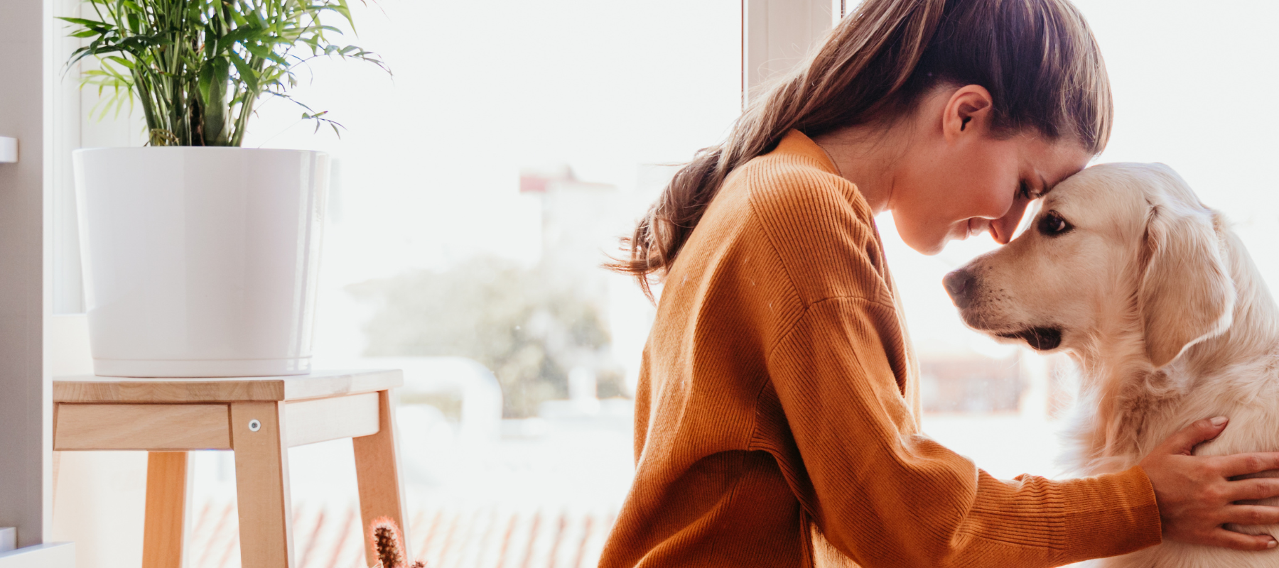 A woman resting her forehead against her dogs forehand, giving it a hug.