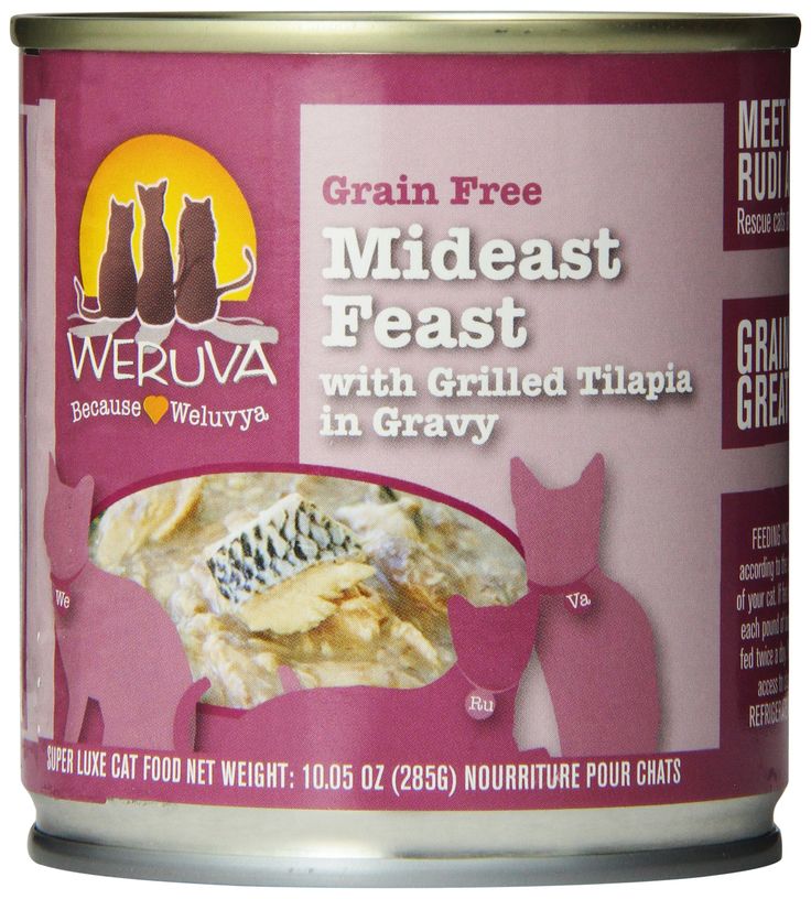 Weruva Mideast Feast with Grilled Tilapia Canned Cat Food, 10.05 Ounce Cans, (Pack of 12)