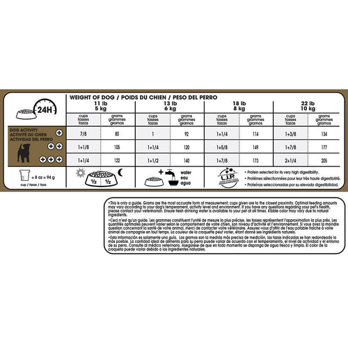 Royal Canin Breed Health Nutrition Adult Jack Russell Terrier Dry Dog Food