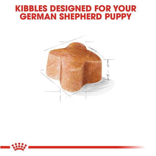 Royal Canin Breed Health Nutrition German Shepherd Puppy Dry Dog Food