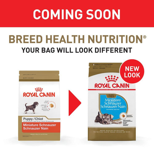 Royal Canin Breed Health Nutrition Miniature Schnauzer Puppy Dry Dog Food