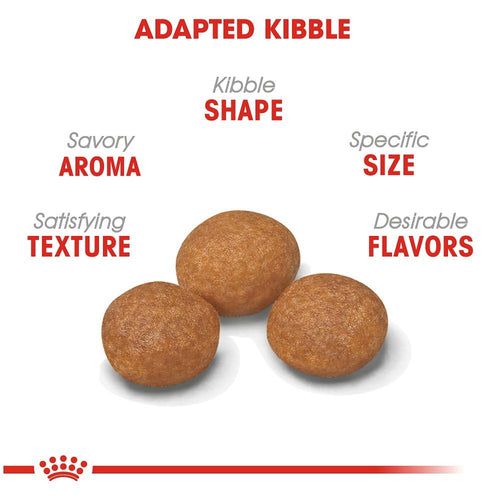 Royal Canin Size Health Nutrition X-Small Mature 8+ Dry Dog Food