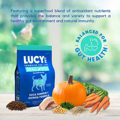 Lucy Pet Foods™ Grain-free Duck, Pumpkin & Quinoa Small Bites Dog Food
