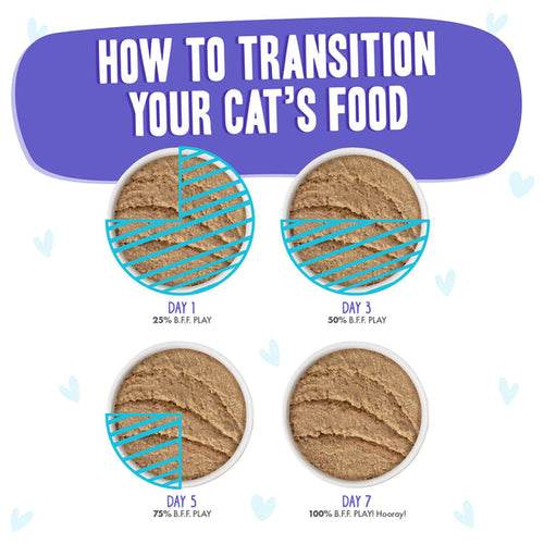 Weruva B.F.F. PLAY PATÉ!  Beef & Tuna Tic Toc Dinner in a Hydrating Purée Wet Cat Food