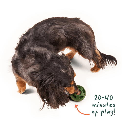 Woof Calming Vitamin Pops Dog Treats