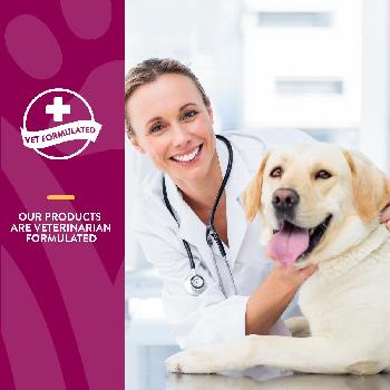 NaturVet Aches & Discomfort Soft Chews for Dogs