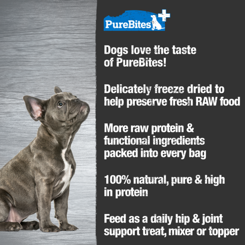 PureBites+ Hip & Joint Dog Treats