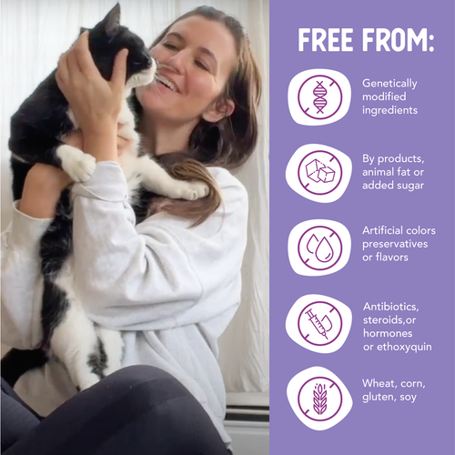 Health Extension Grain-Free Chicken Paté Recipe Canned Cat Food