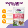 Health Extension Superbites Freeze Dried Raw - Salmon Recipe Cat Treats