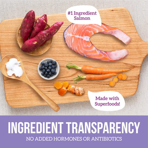 Health Extension Superbites Freeze Dried Raw - Salmon Recipe Cat Treats