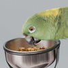 Kaytee Food from the Wild Natural Snack Large Pet Bird