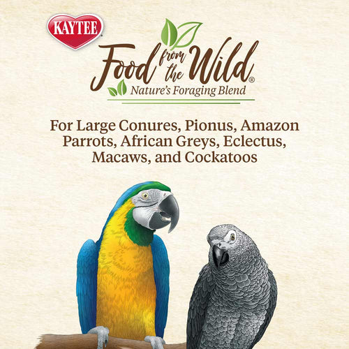 Kaytee Food from the Wild Natural Snack Large Pet Bird