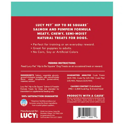 Lucy Pet Hip to Be Square™ Salmon and Pumpkin Dog Treats