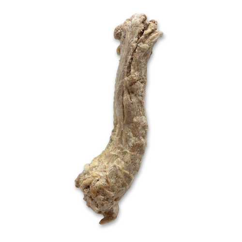 Bones & Co. Freeze-Dried Duck Necks