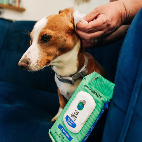 Earthbath Ear Wipes with Witch Hazel & Chamomile for Dogs and Cats