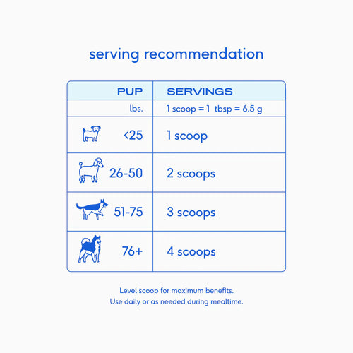 Native Pet The Daily