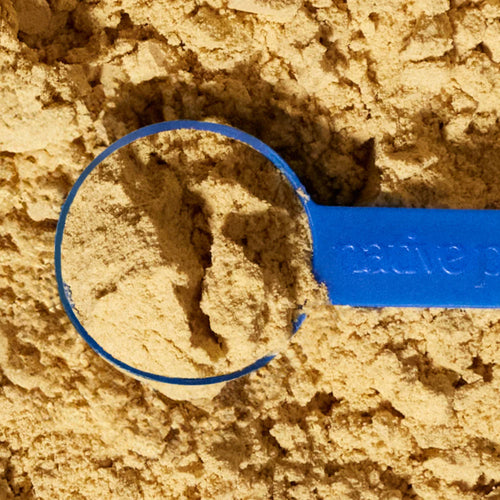 Native Pet Formulated Probiotic Powder for Dogs