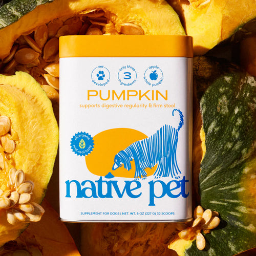 Native Pet Organic Pumpkin Powder for Dogs