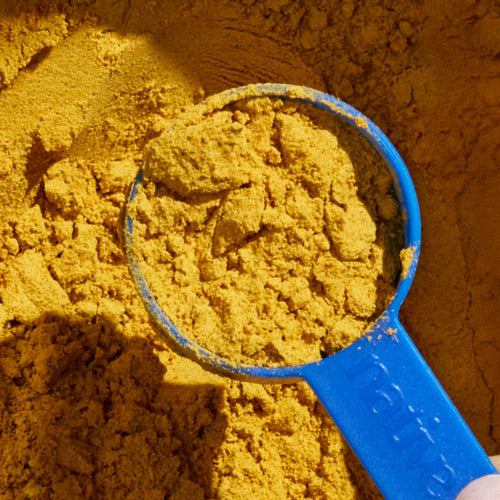 Native Pet Organic Pumpkin Powder for Dogs