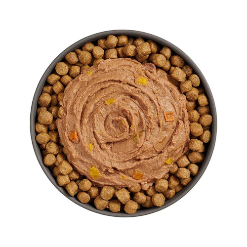 Petcurean Go! Solutions Booster Tuna + Salmon Pâté for Digestive Health Wet Cat Food