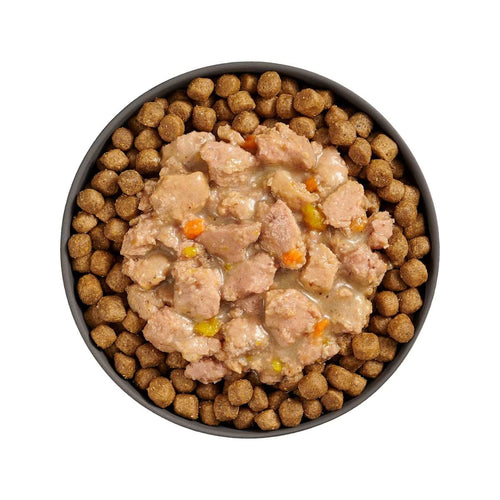 Petcurean Go! Solutions Minced Chicken + Salmon with Gravy for Brain Health Wet Cat Food