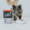 Petcurean Go! Solutions Booster Tuna + Salmon Pâté for Brain Health Wet Cat Food