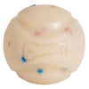 Chuckit! Birthday Fetch Ball Dog Toy