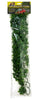 Zoo Med Natural Bush™ Plants – Congo Ivy