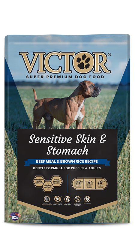 Victor Pet Sensitive Skin & Stomach Beef Meal & Brown Rice Recipe Dry Dog Food