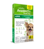 Vetality Avantect II for Dogs
