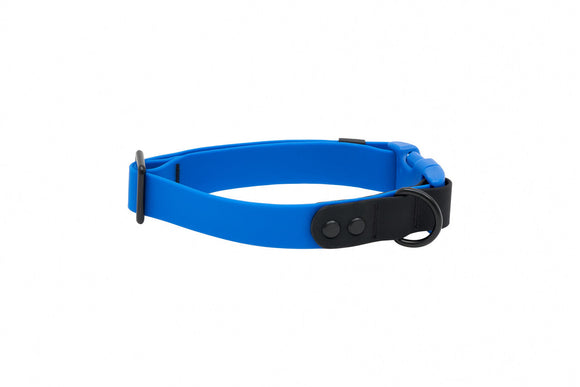 RC Pet Waterproof Collar for Dogs