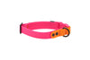 RC Pet Waterproof Collar for Dogs