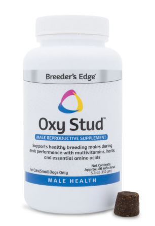 Revival Animal Health Breeder's Edge® Oxy Stud™