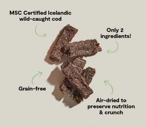 Open Farm Icelandic Air-Dried Cod & Blueberry Dog Treat Bars