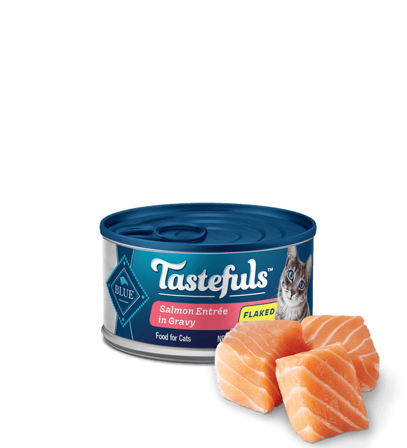 Blue Buffalo Tastefuls Salmon Entree in Gravy Flaked Wet Cat Food