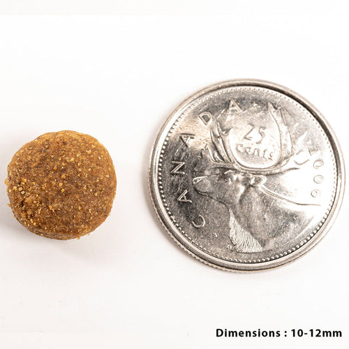 PetKind Tripe Dry – Green Beef Tripe Formula Dog Food