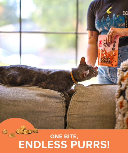 Plato Chicken Cat Treats