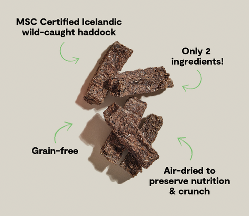Open Farm Icelandic Air-Dried Haddock & Blueberry Dog Treat Bars