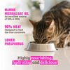 Rawz Lower Phosphorus Beef Canned Cat Food