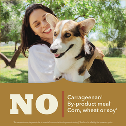 Acana Classics Classics Pâté, Chicken Recipe Wet Dog Food