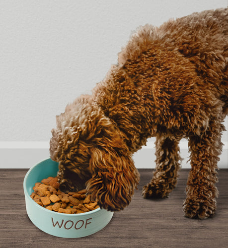 Ethical Pet Spot Portofino Dish Dog Sky Blue 7″