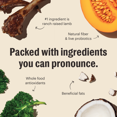 The Honest Kitchen Grain Free Lamb Clusters Dry Dog Food