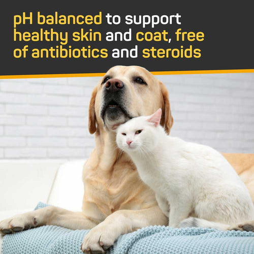 Silver Honey Skin & Coat Care Nourish & Soothe Leave-In Conditioner