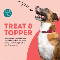 ACANA Jerky Bites Beef Recipe Soft Chewy Treats for Dogs