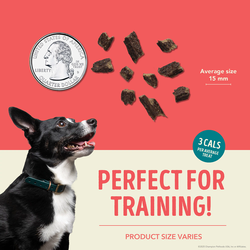 ACANA Jerky Bites Beef Recipe Soft Chewy Treats for Dogs