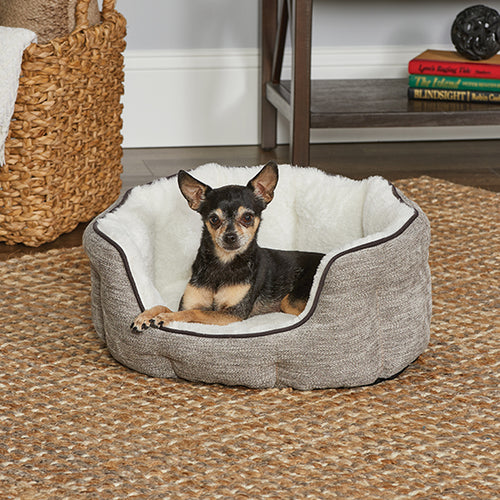 MidWest Homes for Pets QuietTime® Deluxe Tulip Beds in Extra-Small