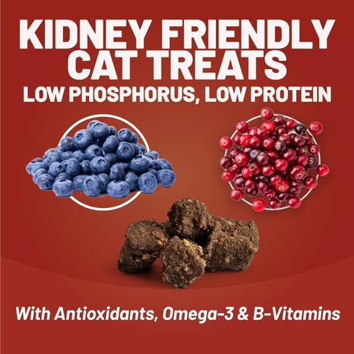 Dave's Pet Food Dave's Kidney-Friendly Semi-Moist Cat Treats /3oz