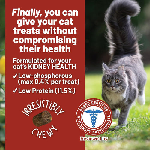 Dave's Pet Food Dave's Kidney-Friendly Semi-Moist Cat Treats /3oz