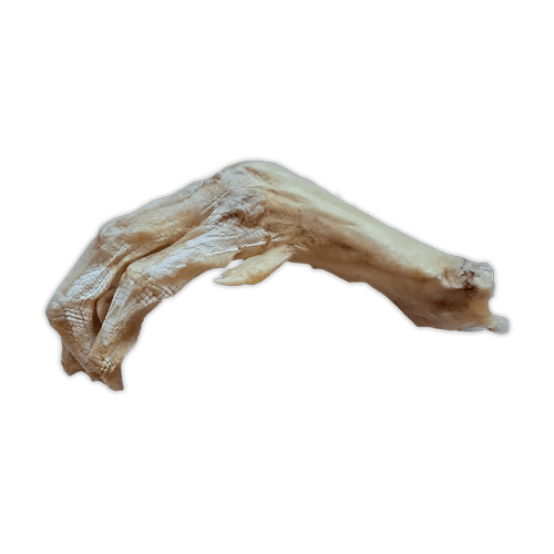 Bones & Co Freeze-Dried Treats Duck Feet Dog Treats